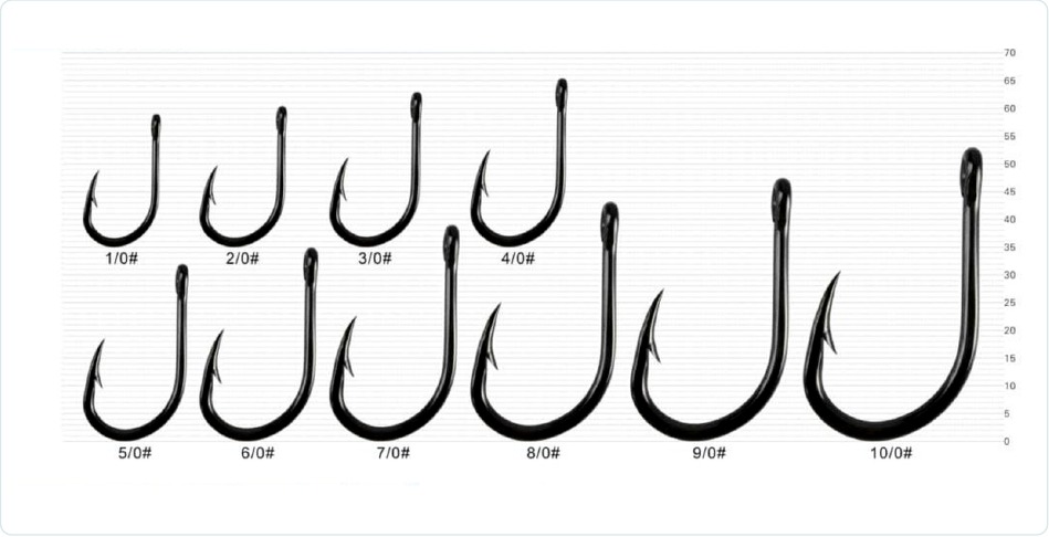 H19402 Live Bait catalog reference sizes